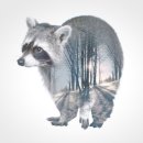 아름다운동물병원 이미지