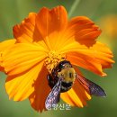 황화농장 이미지