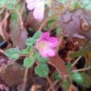 둥지공인중개사무소 이미지