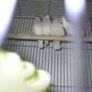 (주)이소 이미지