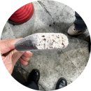 아이스N스낵창고 - 화성시 동탄역로 54 | 아이스N스낵창고