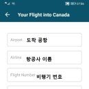 어라이브 Daum카페