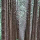 갈모봉산림욕장 이미지