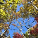 수지생태공원 이미지