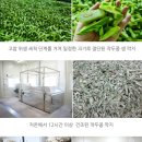 하린농장 | 하린식품 볶은 작두콩차 환절기 아이 물 대용차