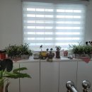 착한바다펜션 이미지