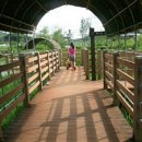 안터생태공원 이미지