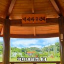 장수꽃마을