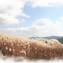 만드는세상 - 포항시 북구 기동지길263번길 59 | 만드는세상
