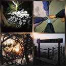 수철리 | 배태망설 종주 (2026 0411)