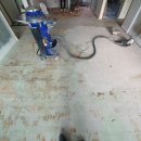 수성오바드빌 이미지