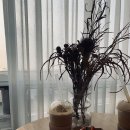 [인천] 시흥 오이도 갤러리 카페 &#39;미구스타컴퍼니&#39; 다녀온 후기:-) Megusta company cafe &amp; gallery
