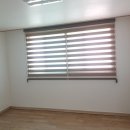 시공-나비 이미지