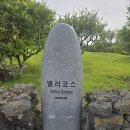 오투리조트 골프(대중제 18홀) | 제주 해비치cc 대중제 밸리 코스 라운드 후기