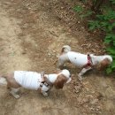 끼리끼리 이미지