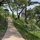 세종대왕태실 주차장 이미지