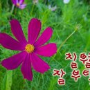 마인드7