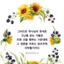 아비투스