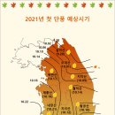 2021 단풍지도 이미지