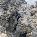 고내마을회관 이미지