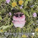 1급현대모터스 이미지