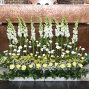 대명성당 이미지