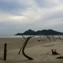 해변산책민박 이미지