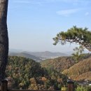 고로쇠마을 | 11월 공주 치유의 숲에서 만난 가을 산책: 낙엽과 함께하는 둘레길 힐링 후기 🍂