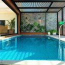 스테이놀 이미지