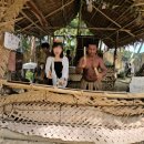 다보안경 | 보홀 육상투어 가볼만한곳 안경원숭이 초콜릿힐 로복강투어 예약 방법 후기