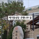 성당손한의원 네이버블로그