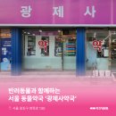 광제사약국 이미지