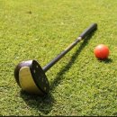 파크골프 이미지