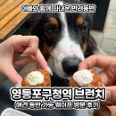 영등포구청 별관 내 | 영등포구청역 대형견 가능 애견 동반 브런치 카페 웨이프 후기