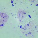 훈동물병원 이미지