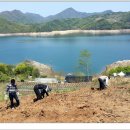 명구농장 이미지