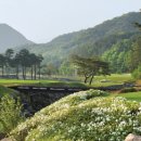 오크힐스 컨트리클럽 이미지