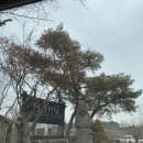 원흥365열린부부한의원 네이버블로그