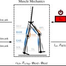 강남재활의학과의원 이미지