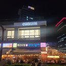 센텀투어 | 벡스코 애견동반 술집 추천 부산오뎅 을지로 통골뱅이 센텀 본점 맛집 투어 후기
