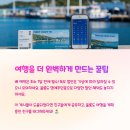 독도게스트하우스 | 2박 3일 울릉도 독도 여행코스, 알찬 일정 정리