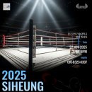 드래곤복싱체육관 이미지