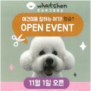 댕댕이 애견미용샵 이미지