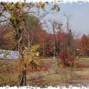 양재시민의숲역 1번출구 이미지