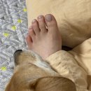 동탄 동탄역근처 귀여운 아트가 많은 내돈내산 네일샵 추천 :: 넬바무:nail bamu