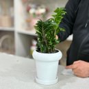 나만의 플랜테리어 | 김포 꽃배달·화분배달 전문 몽플로리, 신혼집 플랜테리어 후기