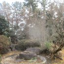 순천금당고등학교 이미지