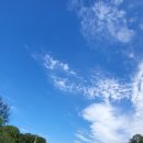 평화누리자전거길 이미지