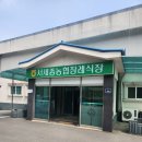 세종 은하수공원 잔디장 후기기독교식 3일장 실제 진행 기록