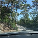 밀파소민박 이미지